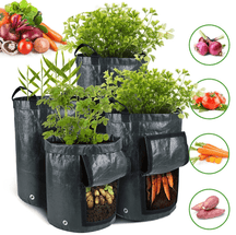 home & garden : Aardappel Groeiende Zak - Groen in Zwart van Pantino