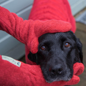 pets : De Super Absorberende Droog Wanten voor Je Hond - Rood in van Pantino