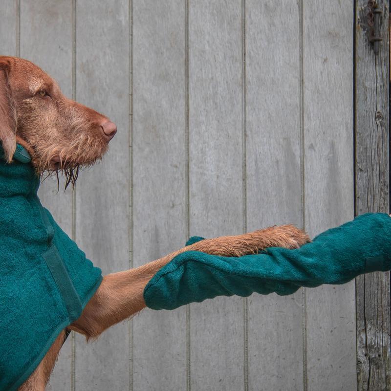 pets : De Super Absorberende Droog Wanten voor Je Hond - Rood in van Pantino