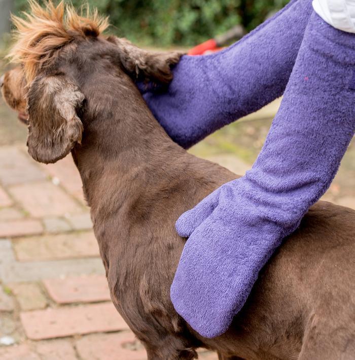 pets : De Super Absorberende Droog Wanten voor Je Hond - Rood in van Pantino