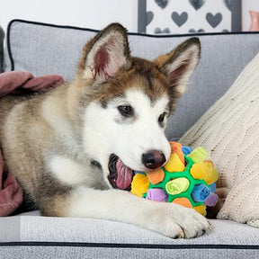 pets : SnuffelBites - Perfecte Oplossing voor Nieuwsgierige Huisdieren - Rood in van Pantino
