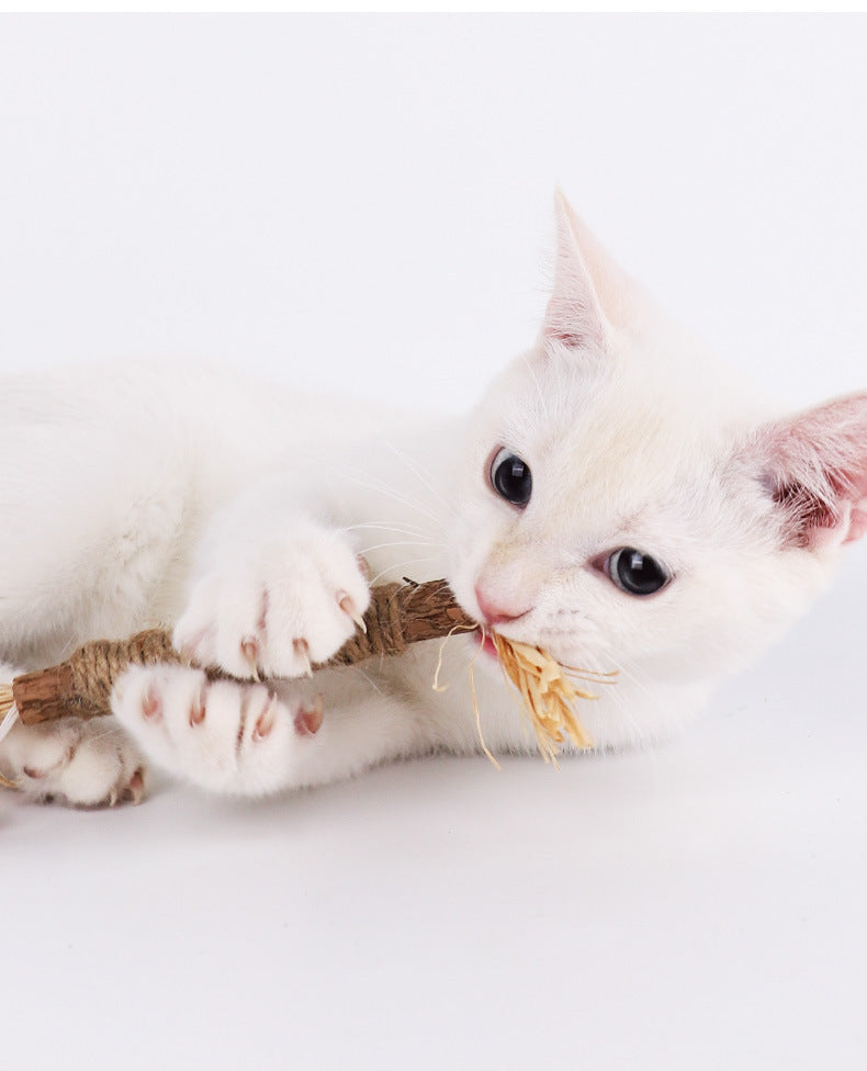 pets : Krabpaal KittyBliss - Compacte & Duurzaam Kartonnen Krabpaal voor Katten in van Pantino