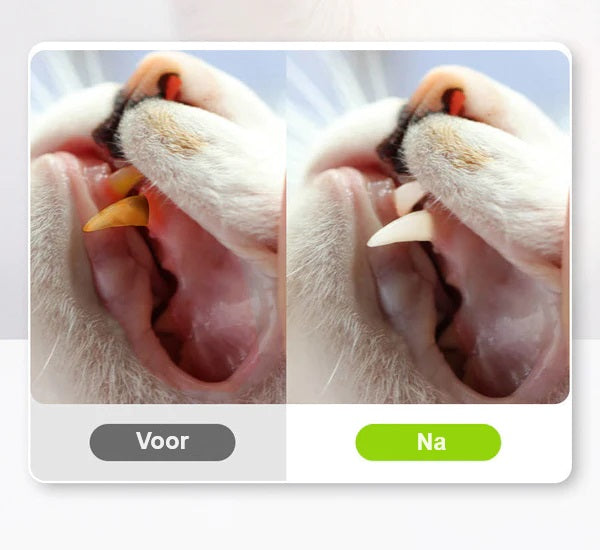 pets : Krabpaal KittyBliss - Compacte & Duurzaam Kartonnen Krabpaal voor Katten in van Pantino
